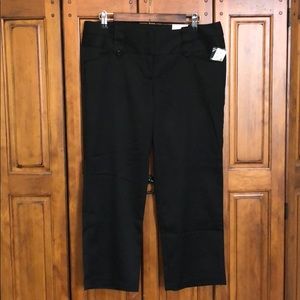 Studio Y Cropped Dress Pant